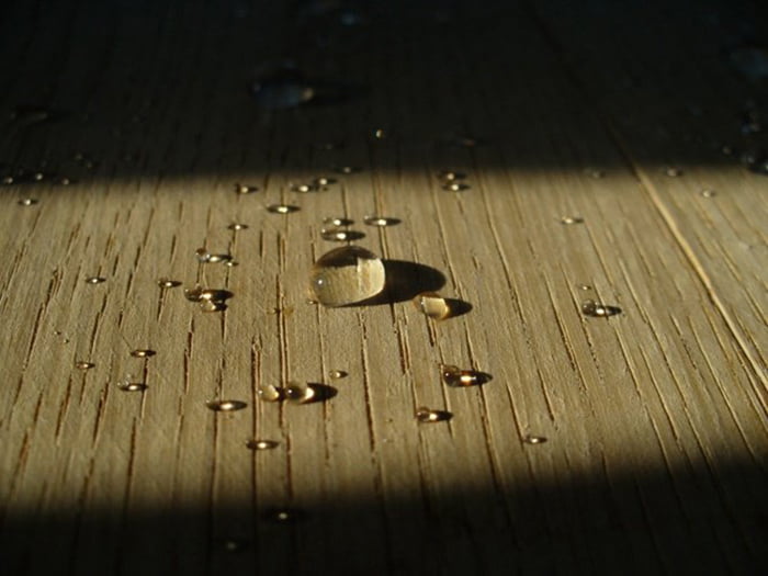 10 Kinh Nghiệm Nhận Biết Đồ Gỗ Nội Thất Nên Mua